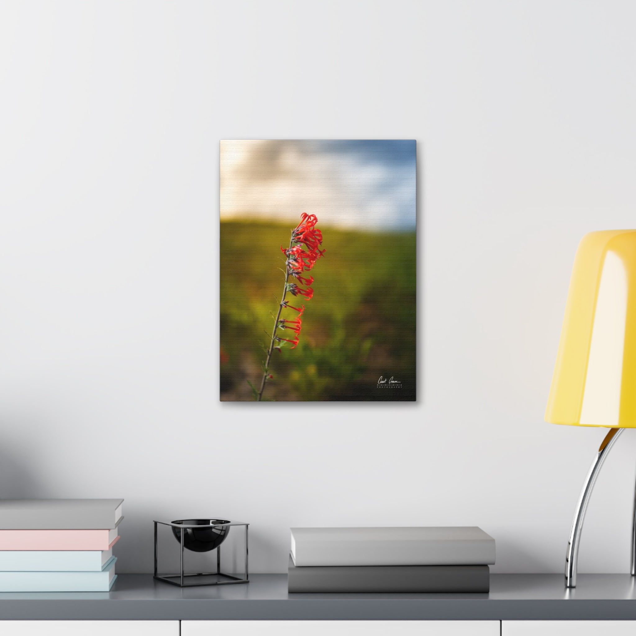 Skyrocket Along the Ridge — Canvas Print