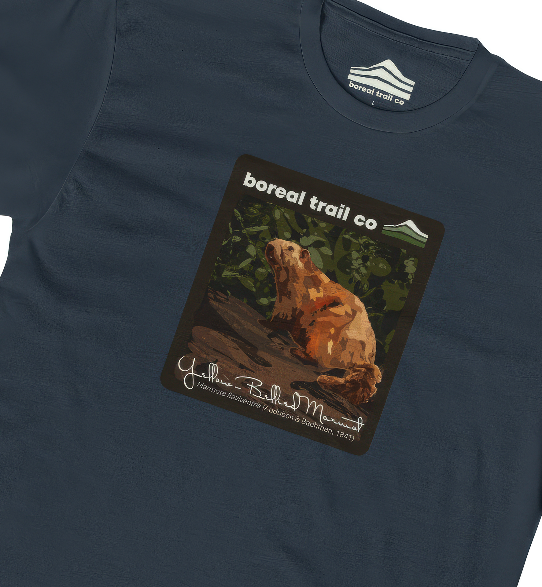 Boreal Trail Co Yellow-bellied Marmot Wildlife Graphic Tee