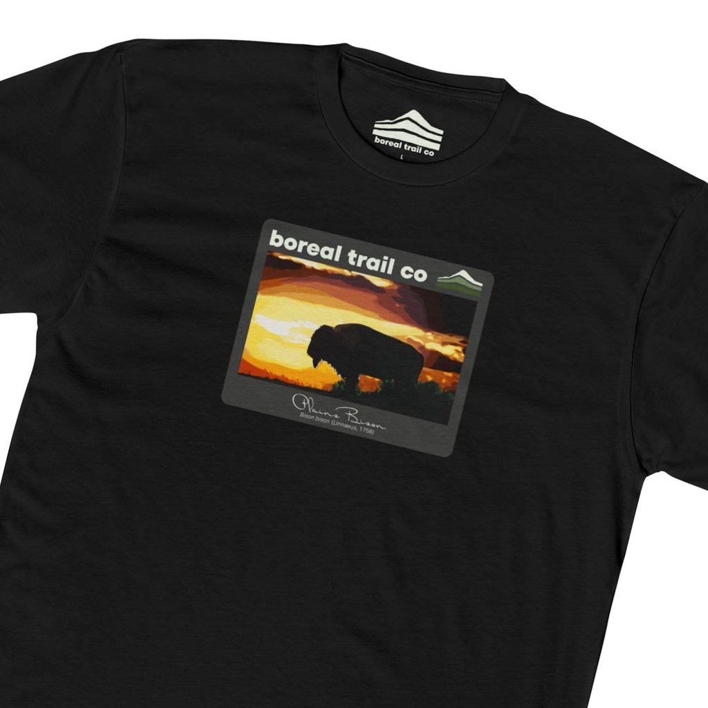 Boreal Trail Co Plains Bison Wildlife Graphic Tee