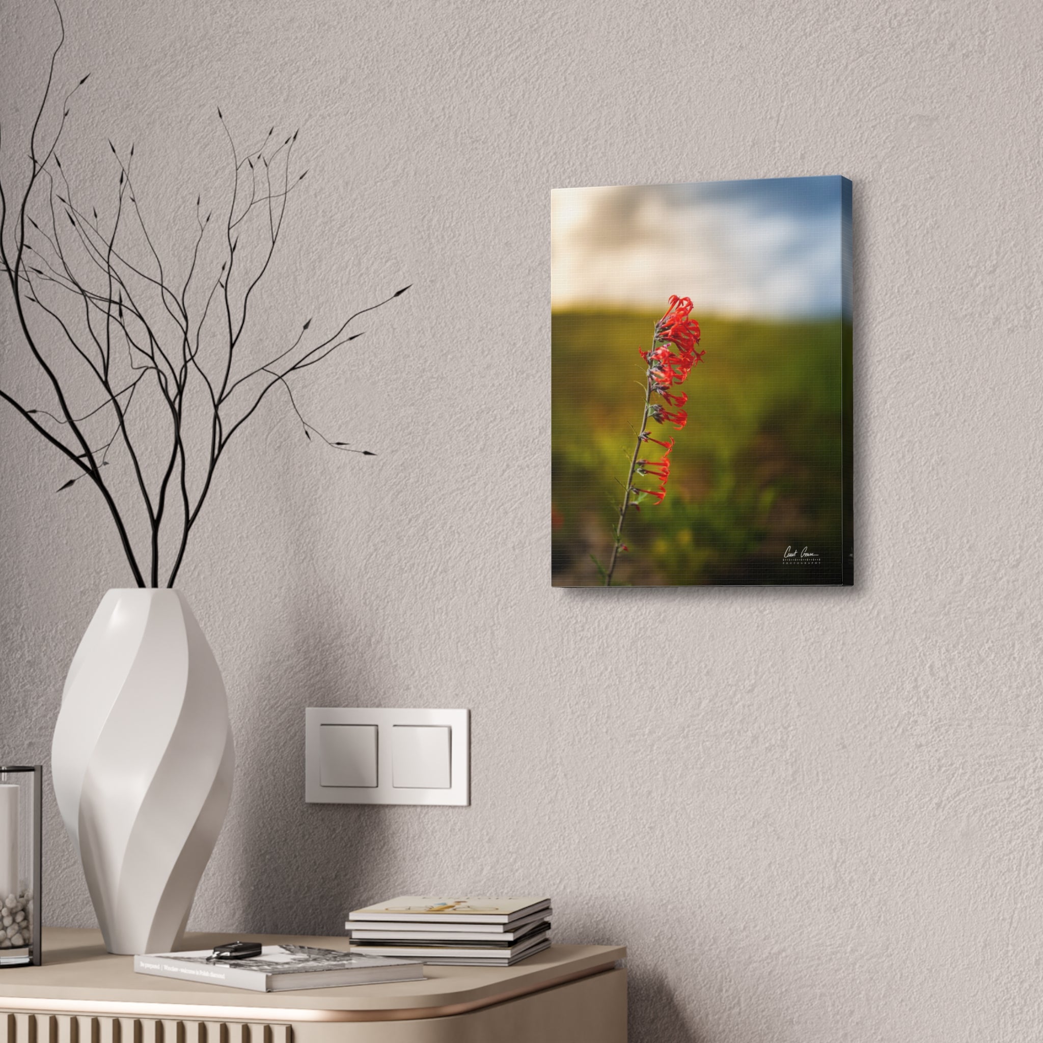 Skyrocket Along the Ridge — Canvas Print