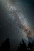 Milky Way galaxy stretching across a star-filled night sky above silhouetted pine trees