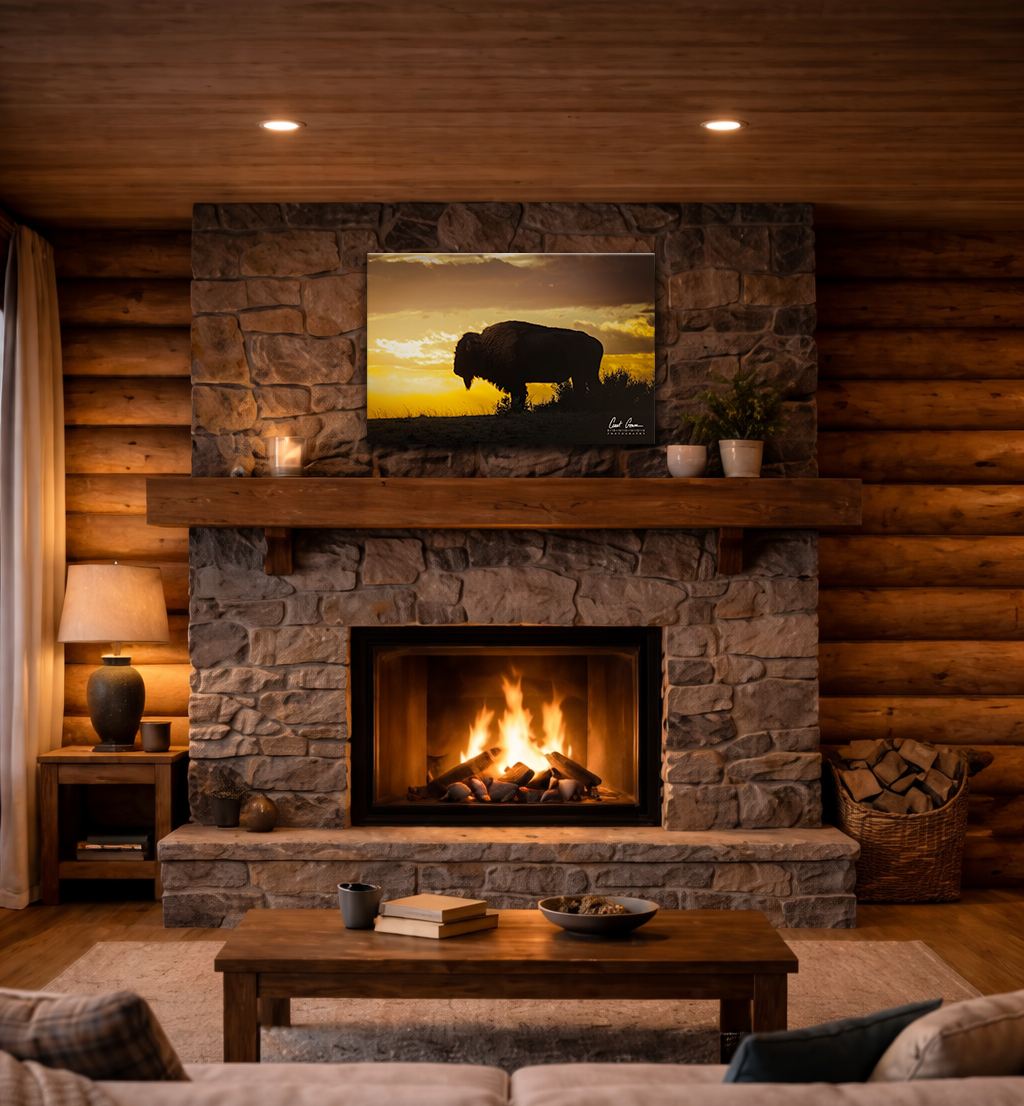 Sunset, Bison Silhouette Photo on Metal