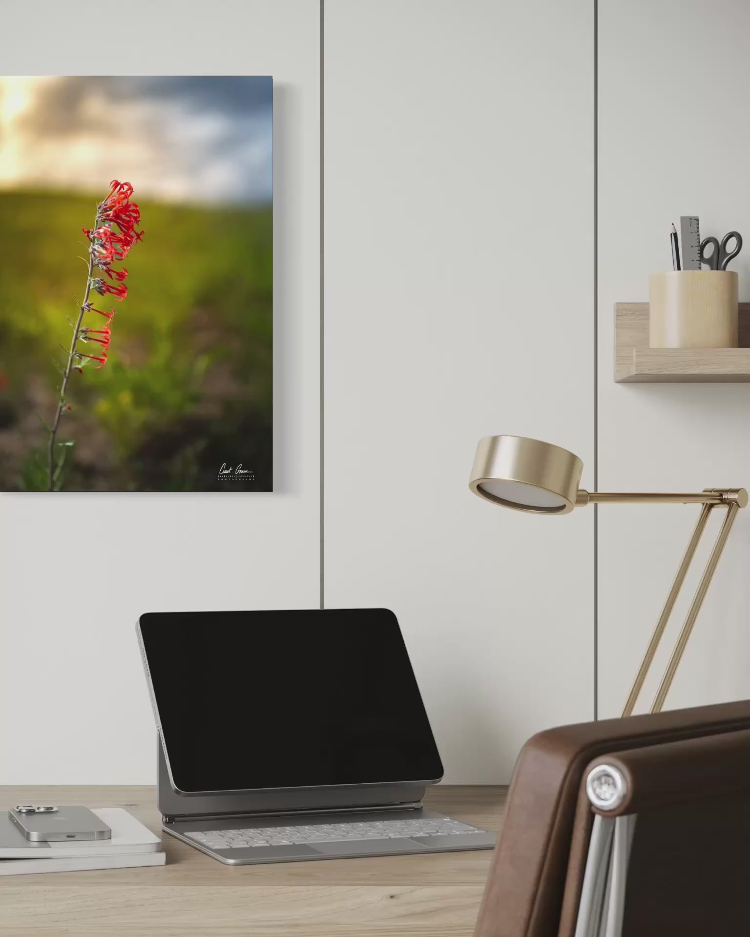 Skyrocket Along the Ridge Photo on Metal